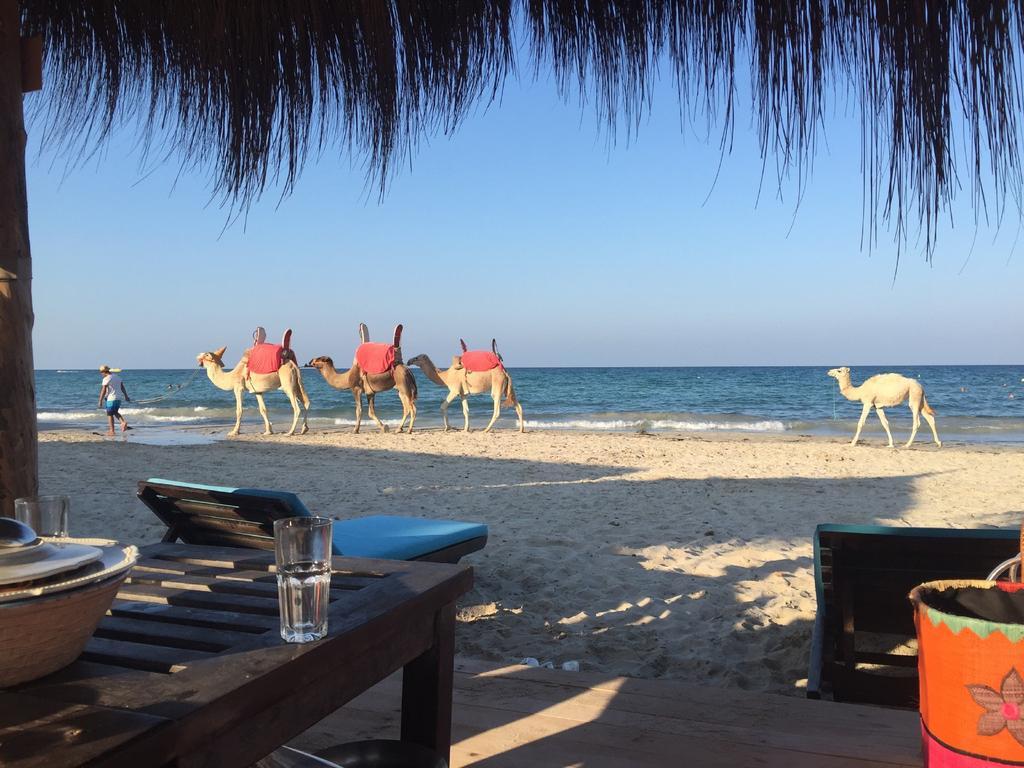Hotel Djerba Orient Mezraia Exterior photo