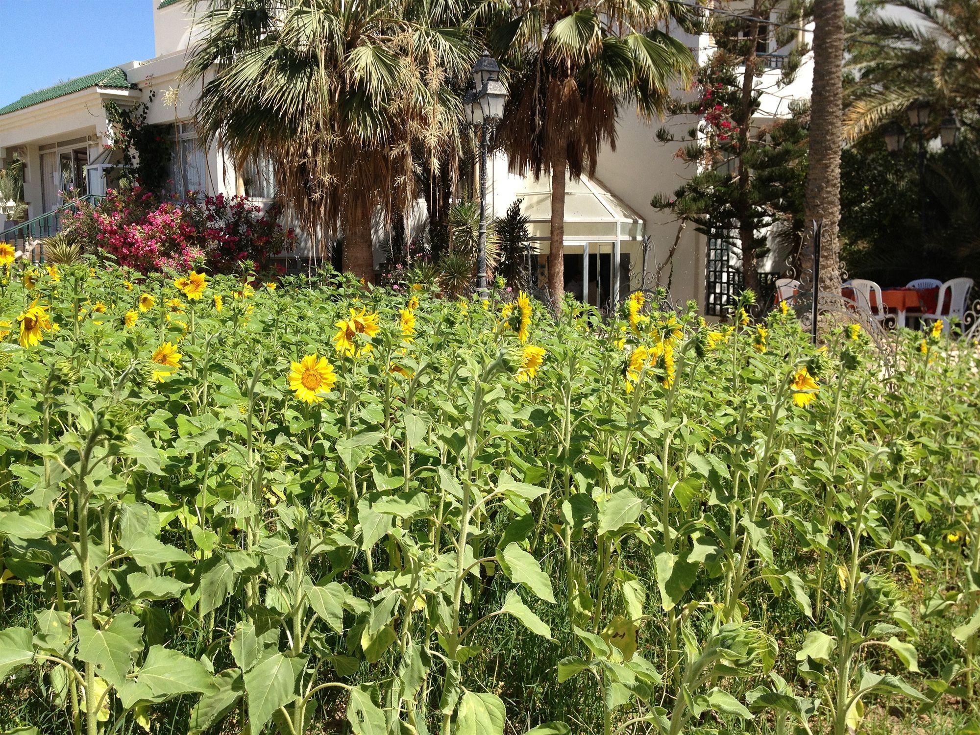 Hotel Djerba Orient Mezraia Exterior photo